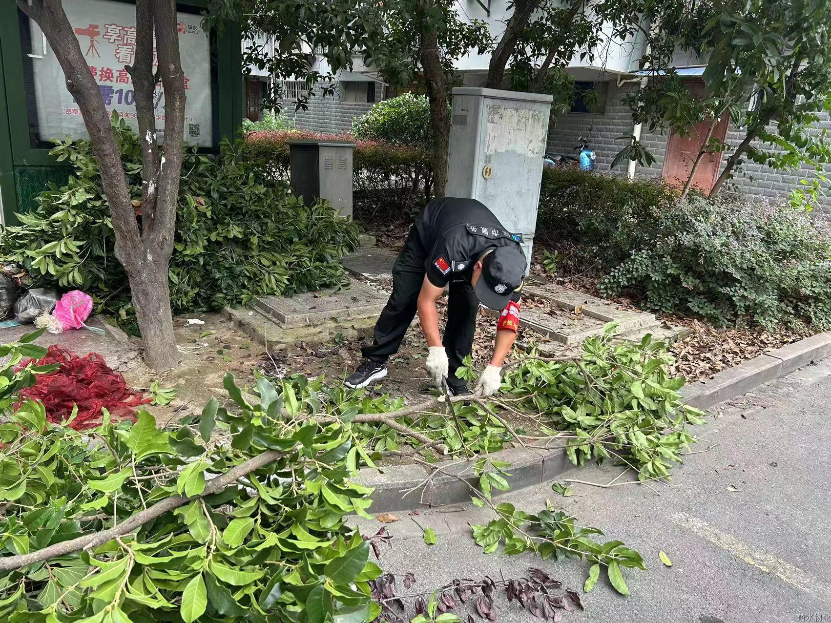 “洁”尽全力 守护美好 | 绣出高颜值，，，，，，焕新老小区